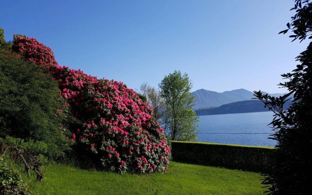 BMP Apartment Azalea