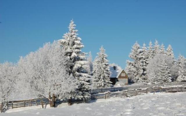 Cabana Moţilor