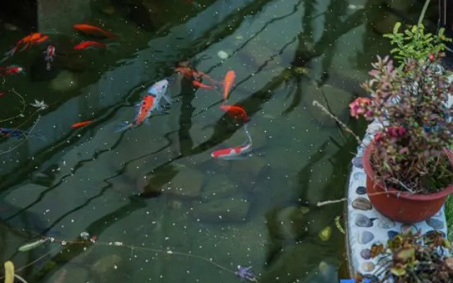 Mogan Mountain Muxia Star Camping Resort Villa