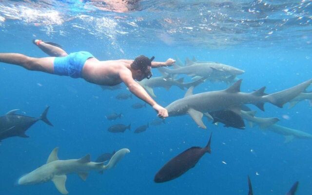 ilaa Beach Maldives