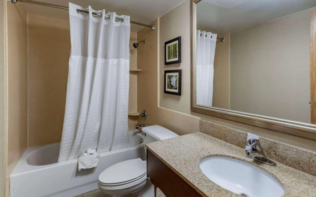 Comfort Inn Lansing West