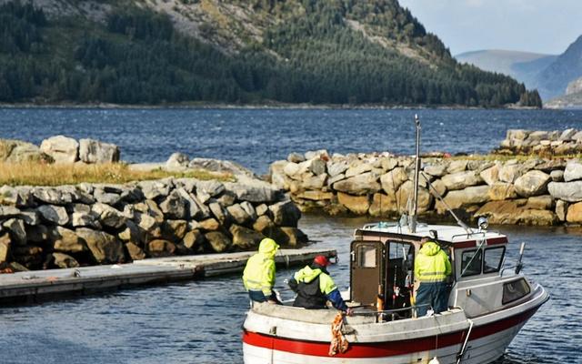 4 Person Holiday Home in Selje