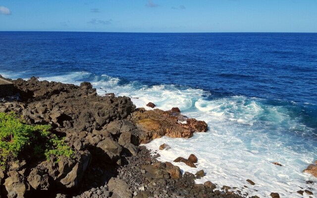 Hale O'hia Lehua 3 Bedroom Home by RedAwning