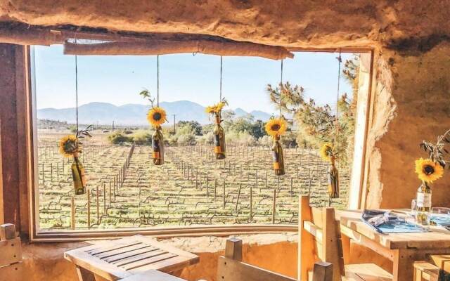 Ecovino Valle de Guadalupe
