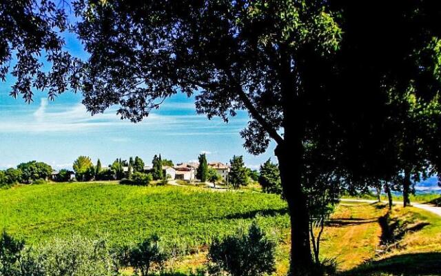 B&B La Torre - Fattoria di Larniano