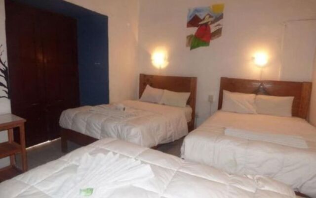 The Grasshopper Hostal Plaza de Armas