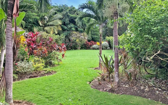 Coral Gables 3 Bedroom Home