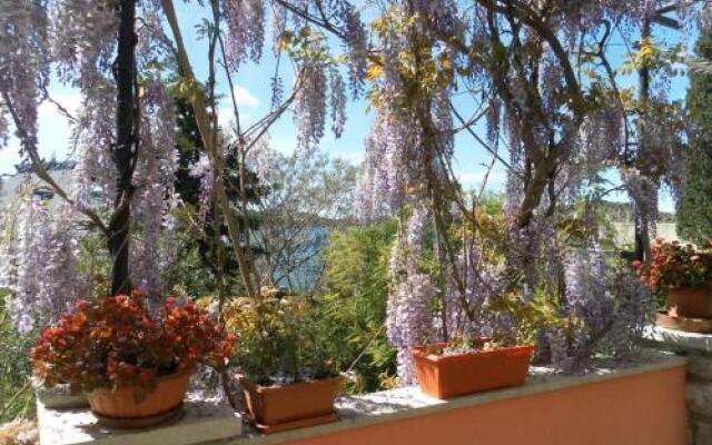 Apartments Pepi