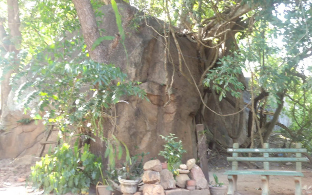 Peacock Tourist Rest