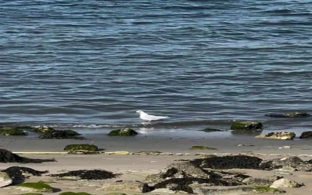 Villa Oesterdam Comfort 4 Persons