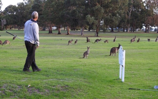 Kalgan River Chalets & Caravan Park