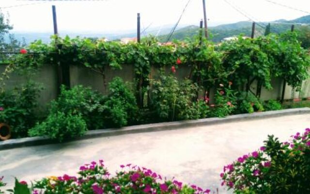 Guest House Alazani Valley