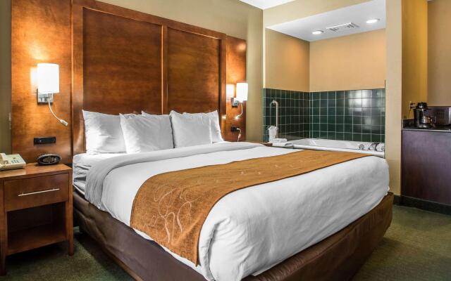 Comfort Suites Madison West - Middleton
