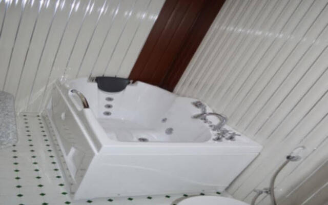goona palace houseboat