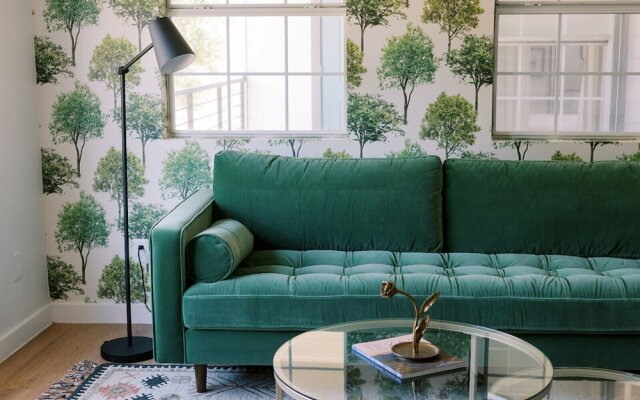 Cation on the Guadalupe