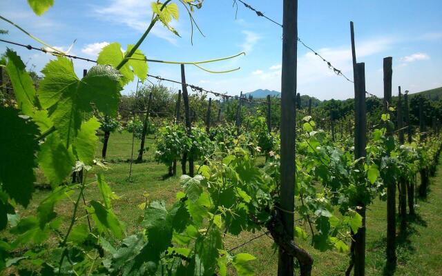 Agriturismo Borgodoro