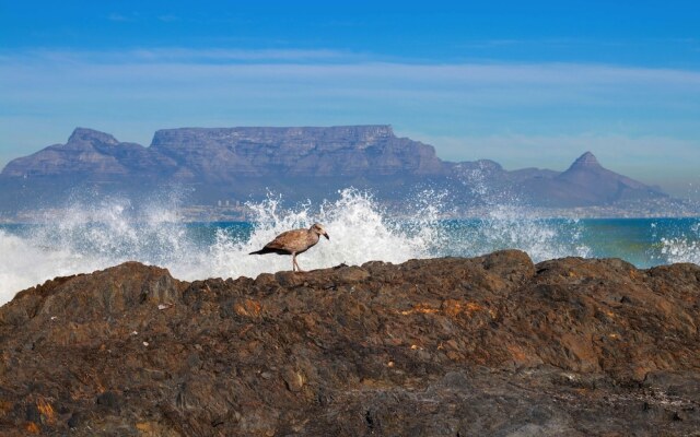 Eden on the Bay Studios