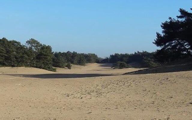 Vakantie op de Veluwe