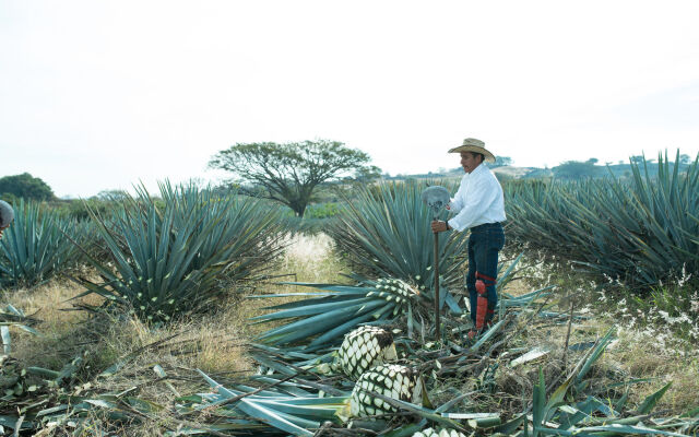 Hotel Solar de las Animas