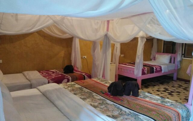Orchid Hibiscus Guest House