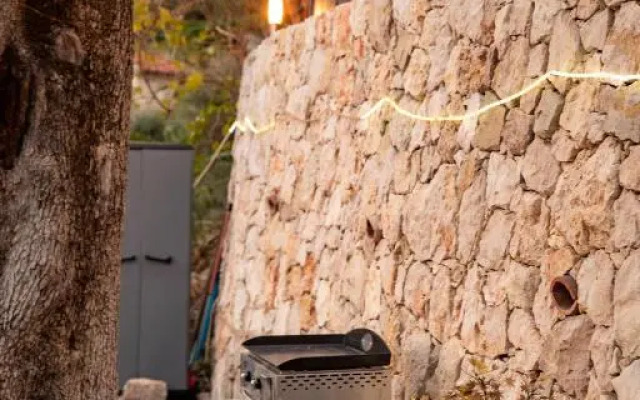 Le petit jardin exotique