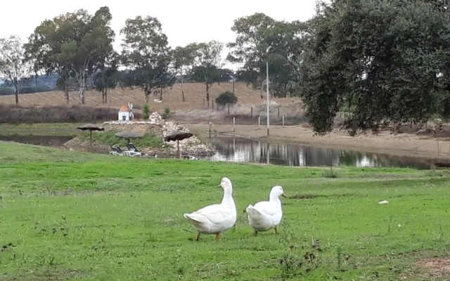 Agro-Turismo Monte da Galega