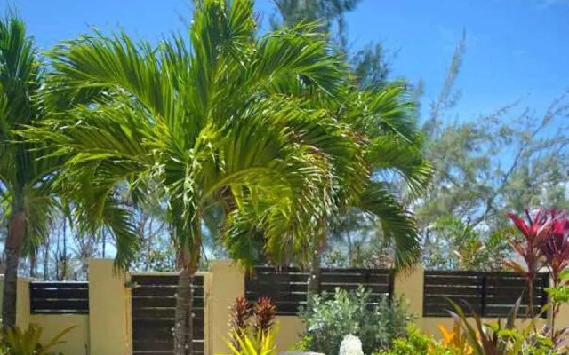 Hidden Gem Barbados