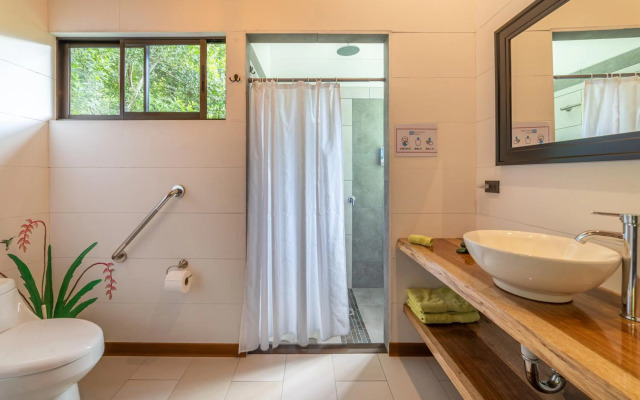 Aves De Tierras Altas