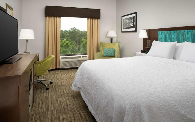 Hampton Inn Birmingham I-65/Lakeshore Drive