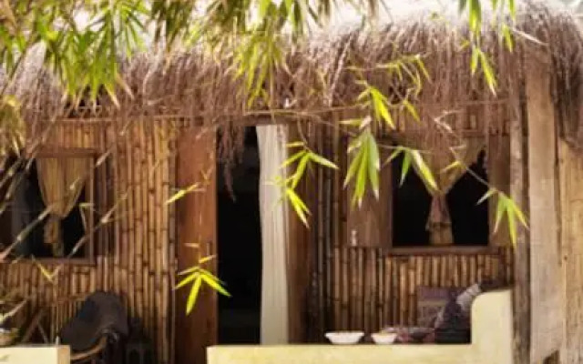 Little Palm Grove