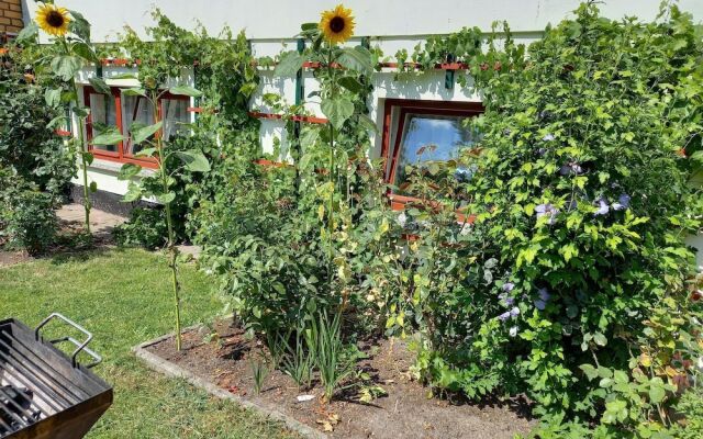 Apartment in Alt Bukow With Garden