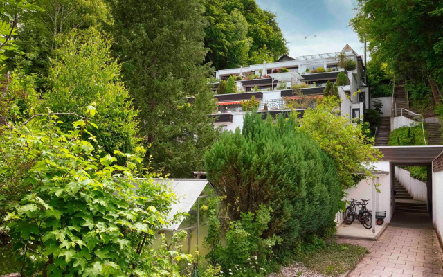 Petras Ammerseeblick