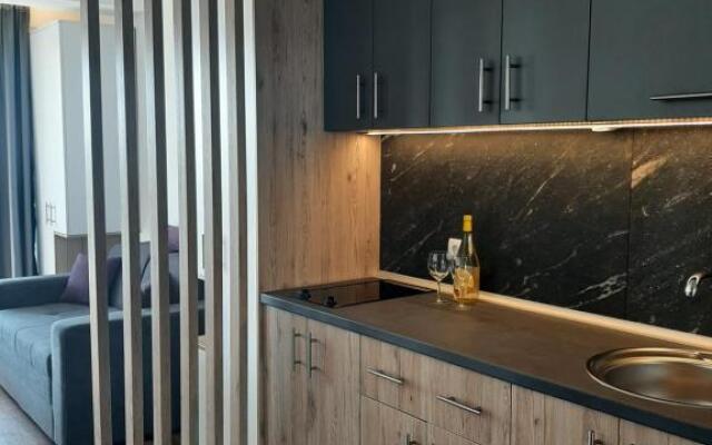 Ariš Kopaonik apartman A21