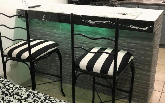Zebra Studio
