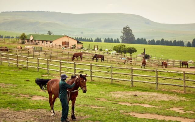 Midlands Saddle and Trout