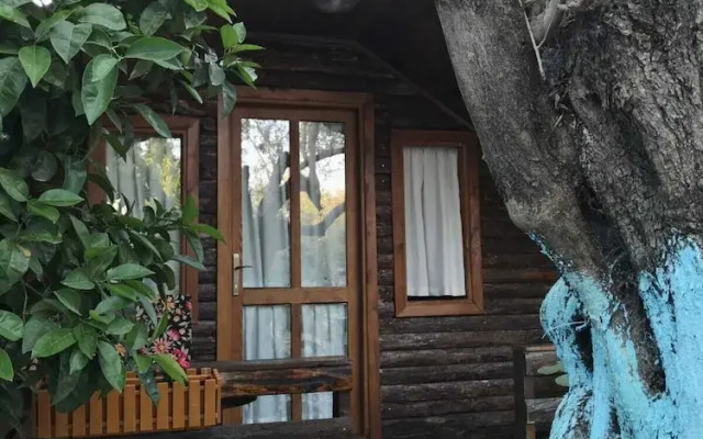 Zeytindagi Bungalow