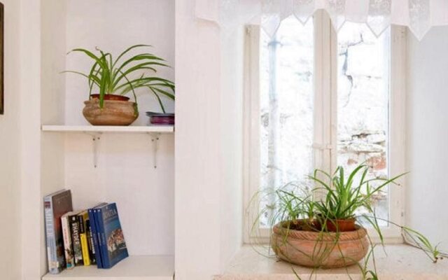 Old Town Economy Apartments