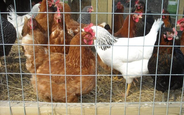 Chalet Bed and Breakfast, Niagara-on-the-Lake