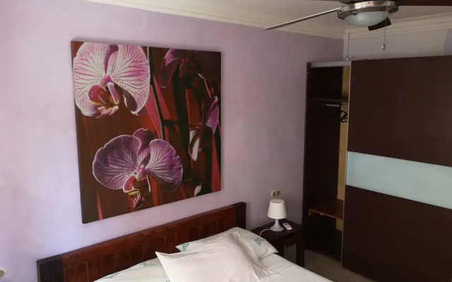 Apartamentos en Boca Chica Mama Jo