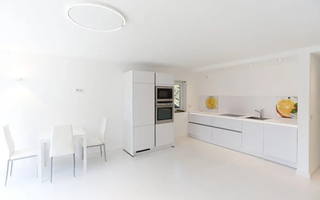 the white design apartment