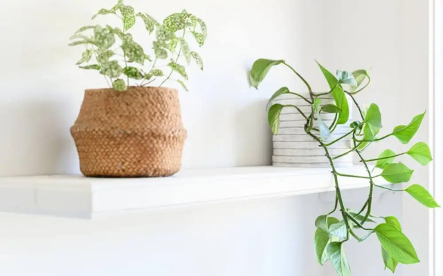 Your Ocean Oasis Ocean Country Views Spa Pet Friendly Fireplace