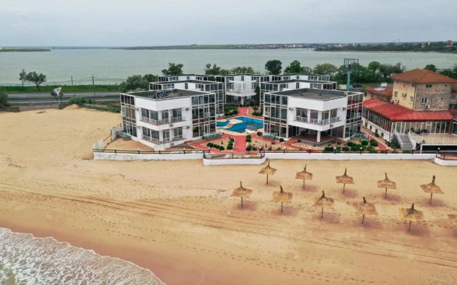 Avenue Palm Eforie Nord Cm