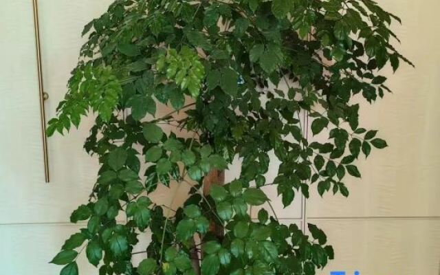 HanTing Hotel (Yancheng Binhai Gang Lishangcheng International)