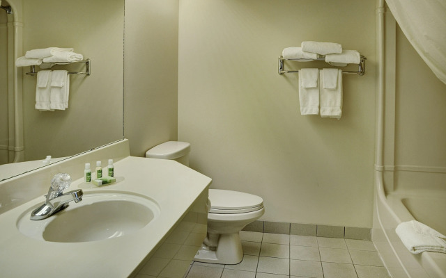 Lakeview Inns & Suites - Brandon