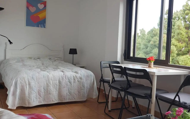 Marbella center studio apartment
