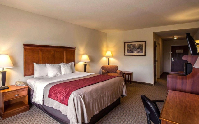 Comfort Inn & Suites Rogersville