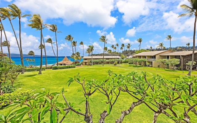 Napili Shores G258 Studio Condo Condo