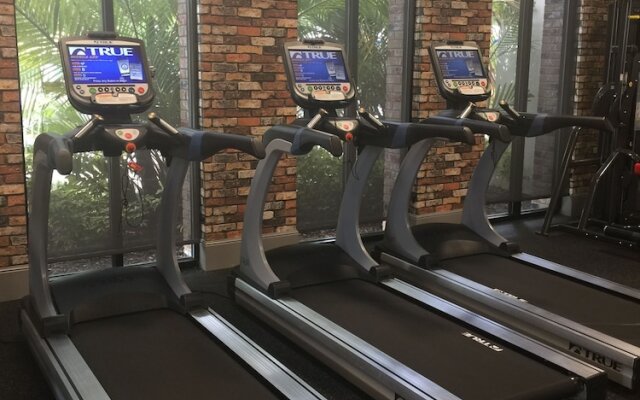 Lexington Vacations Champ by Stark Hosp