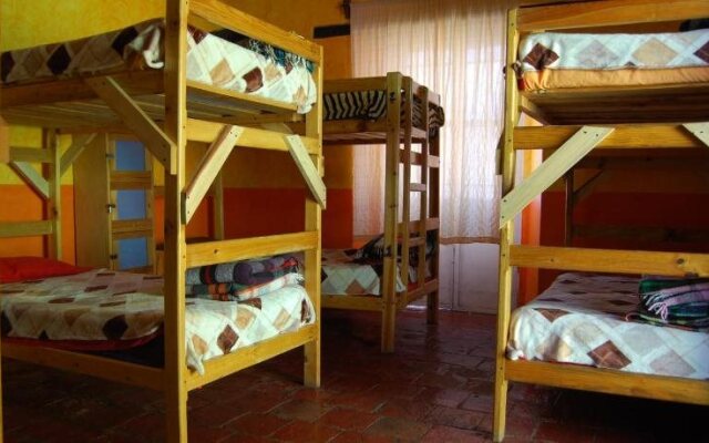Iguana Hostel