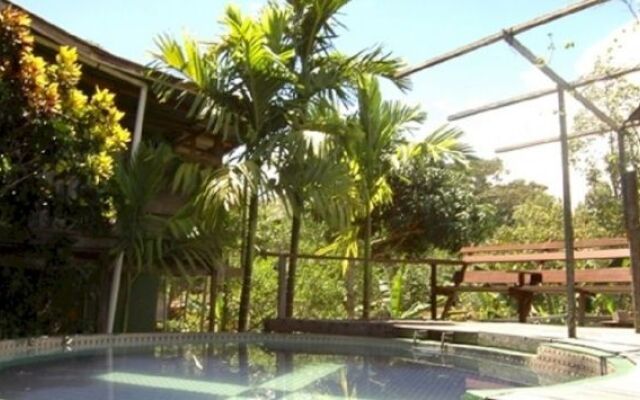Treetops Lodge